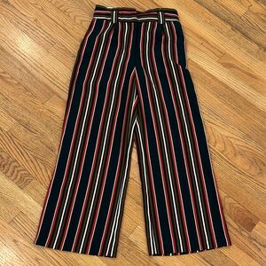 Express Striped Knit Pants with Earthy Tones